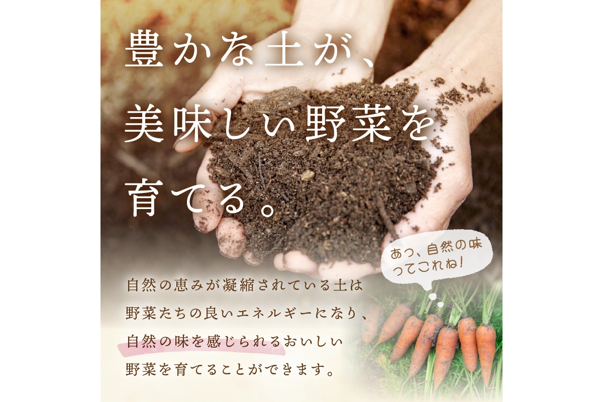 ＜てんとうむしばたけ＞オーガニック野菜セット　有機野菜6～7種(2人用)