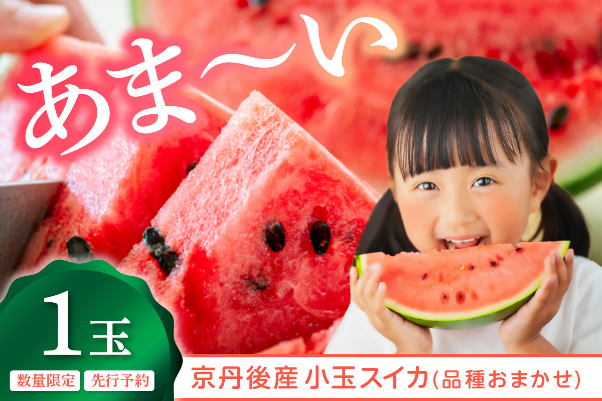 みんな大好き！甘～ぃ！シャリ美味！！京丹後産小玉スイカ！！1玉（ひとりじめ、姫甘泉、ひめまくら、砂丘たまごから1種類）（2026年7月上旬～発送）　YK00532
