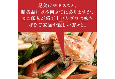 （訳あり）茹で間人がに 2匹 Bセット　11/10～11/21発送予定　間人がに 間人ガニ 間人蟹 たいざがに たいざガニ