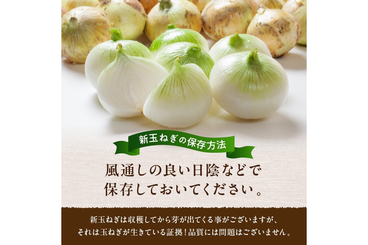 【訳あり】新たまねぎ 3kg