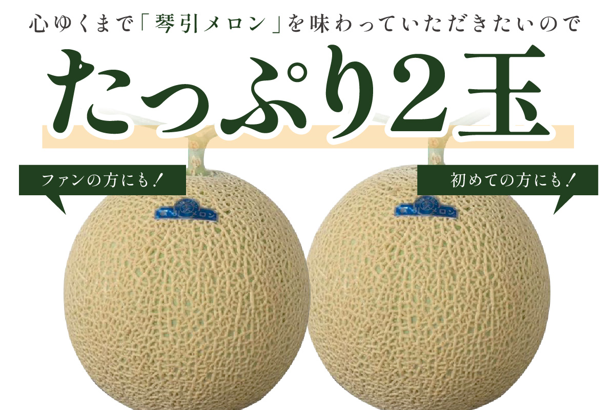 【数量限定500】京のブランド産品 京たんごメロン 琴引メロン LAサイズ 2玉（2026年6月下旬～発送） 国産 甘い 高糖度 高級 期間限定 ふるさと納税 メロン ふるさと納税 フルーツ ギフト