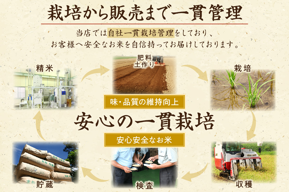 京都・丹後コシヒカリ 無洗米 5kg　米 お米 コシヒカリ ふるさと納税 無洗米 ふるさと納税 米 ふるさと納税 お米 ふるさと納税 コシヒカリ 農家応援 生産者応援 送料無料