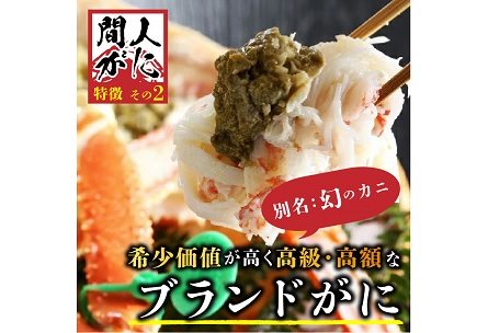 （訳あり）茹で間人がに 2匹 Bセット　11/10～11/21発送予定　間人がに 間人ガニ 間人蟹 たいざがに たいざガニ