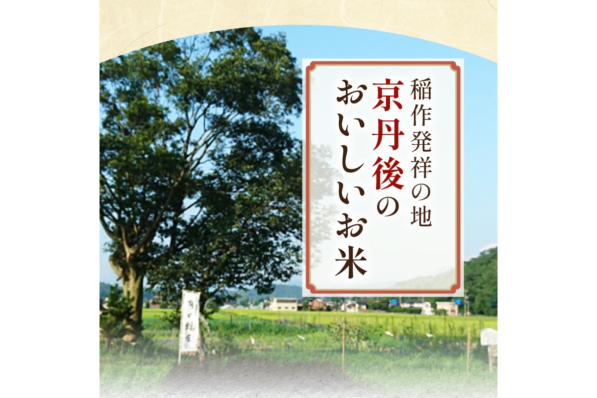 【3ヶ月定期便】2026年産 京都・京丹後峰山 特別栽培米コシヒカリ 5kg 【白米】 1等米 検査済証付　お米 精米 お弁当 おにぎり 京都府産 白米 特別栽培 一等米 ふるさと納税 米 定期便 生産者応援 農家応援