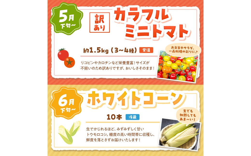 まつみやファーム獲れたて野菜・フルーツ5種定期便 ふるさと納税 果物 くだもの フルーツ ふるーつ 野菜 やさい 芋 穀物 紅はるか さつまいも いちご イチゴ 苺 ホワイトコーン 農家応援 生産者応援 送料無料