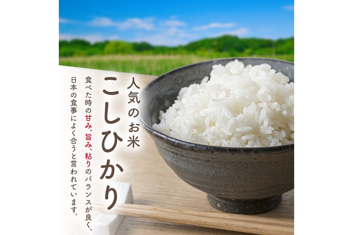 旬の野菜 5～8種詰め合わせと京都・京丹後産コシヒカリ2kgセット 国産 新鮮 お試し おまかせ お楽しみ　京野菜　朝採れ 季節の野菜 食品 お取り寄せ　お米 ごはん ご飯 こしひかり おにぎり 白米 ふるさと納税 米