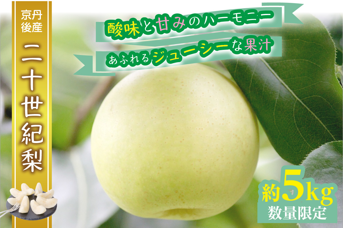 【数量限定】京都丹後産 二十世紀梨 5kg（2026年9月上旬～発送） ふるさと 納税 梨 なし ナシ 5kg ふるさと 納税 期間限定 ふるさと 納税 20世紀 送料無料