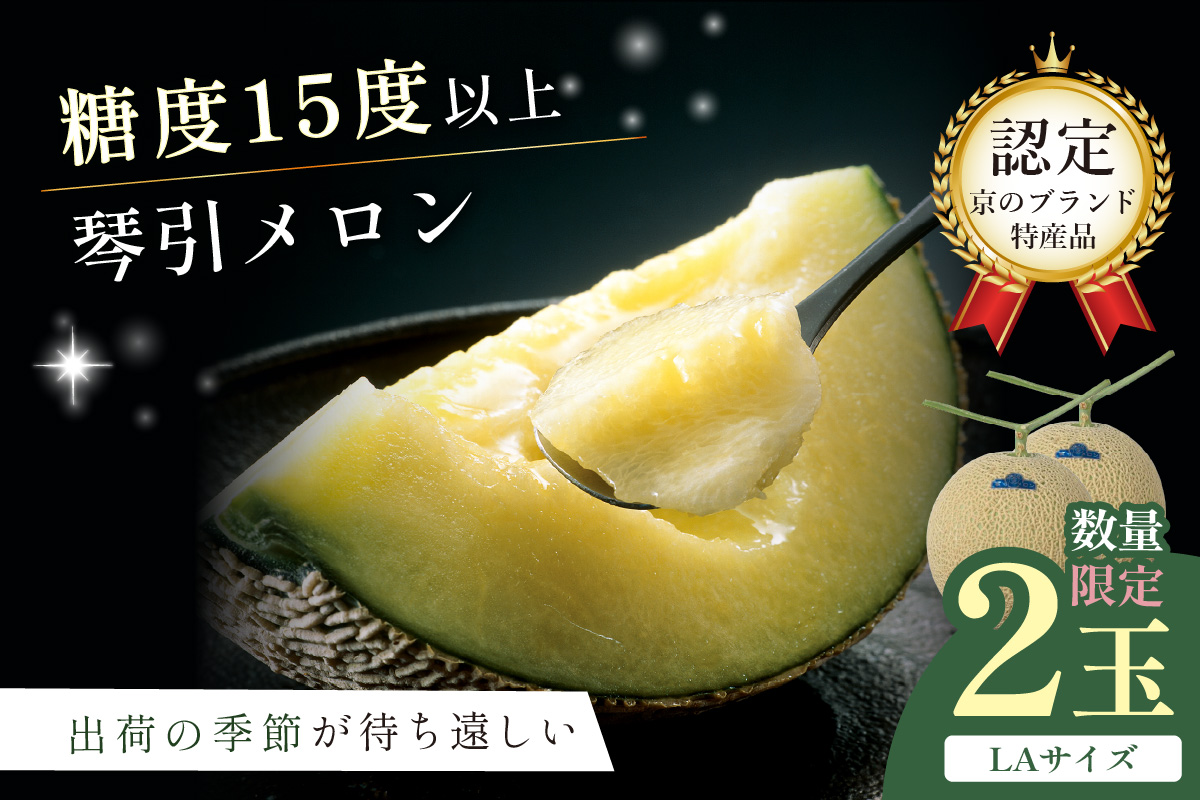 【数量限定500】京のブランド産品 京たんごメロン 琴引メロン LAサイズ 2玉（2026年6月下旬～発送）