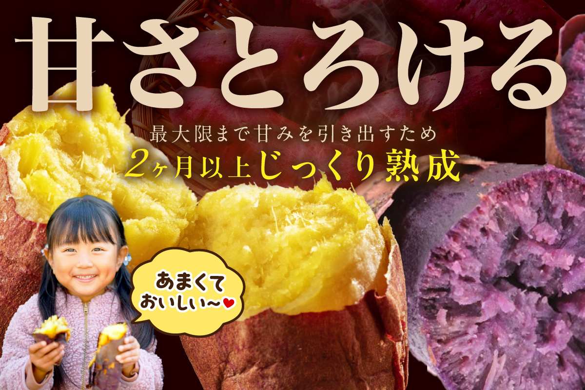 【先行予約】【日本一ダブル受賞セット】紅はるか、ふくむらさきセット計約10kg 京都 丹後 さつまいも