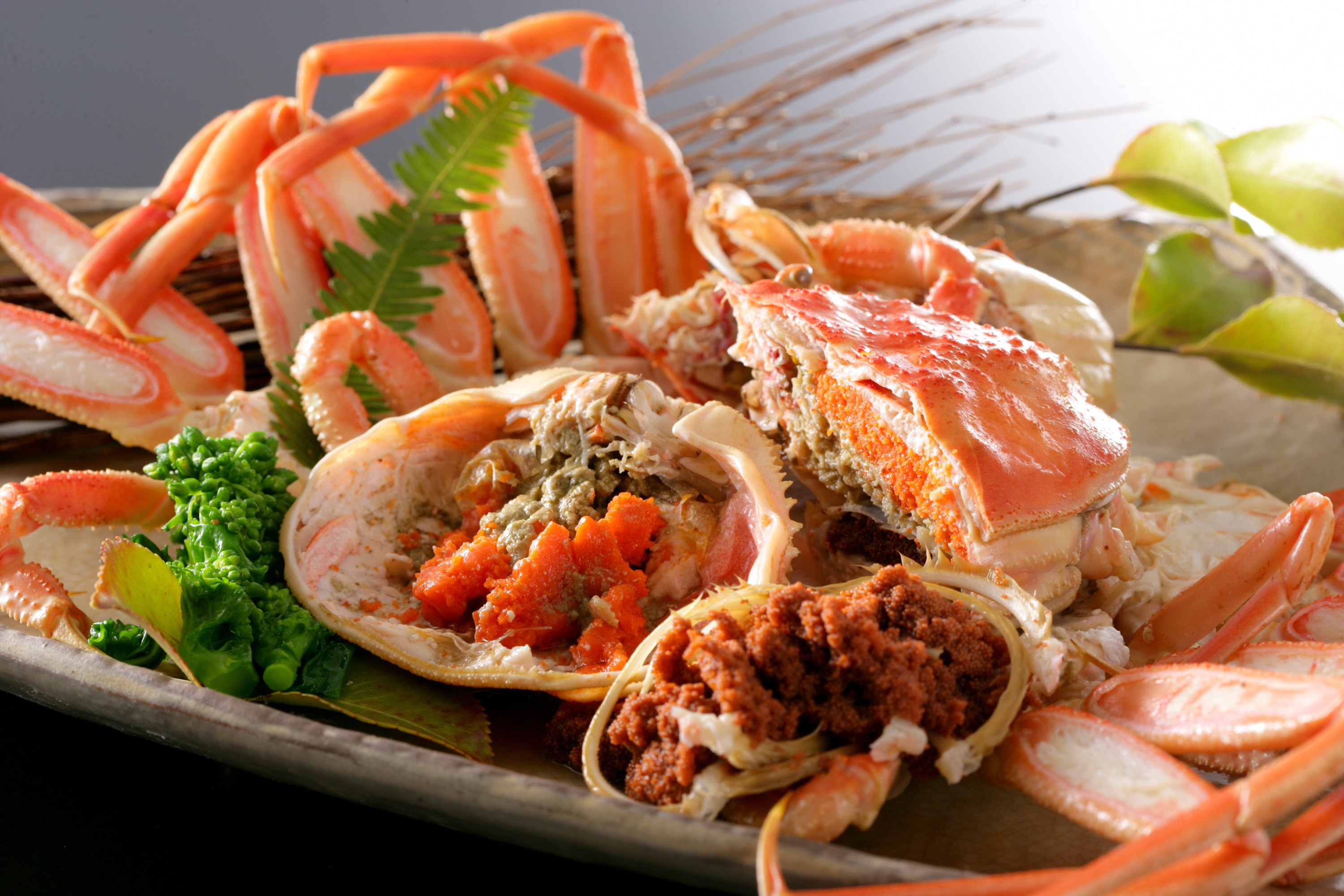 【期間限定・冬の味覚！】釜ゆでせこがに 大サイズ (230ｇ～250ｇ) 3匹入り （12月発送）／北畿水産 蟹 魚介類 魚介 せこかに ふるさと納税 かに