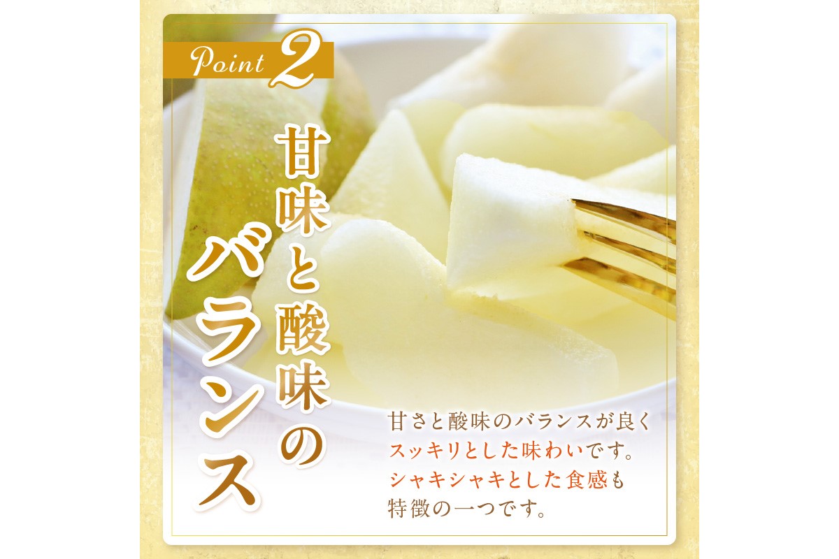 【先行予約／数量限定150】京丹後産 20世紀梨 5kg（12～16玉入り）（2026年9月上旬～発送）