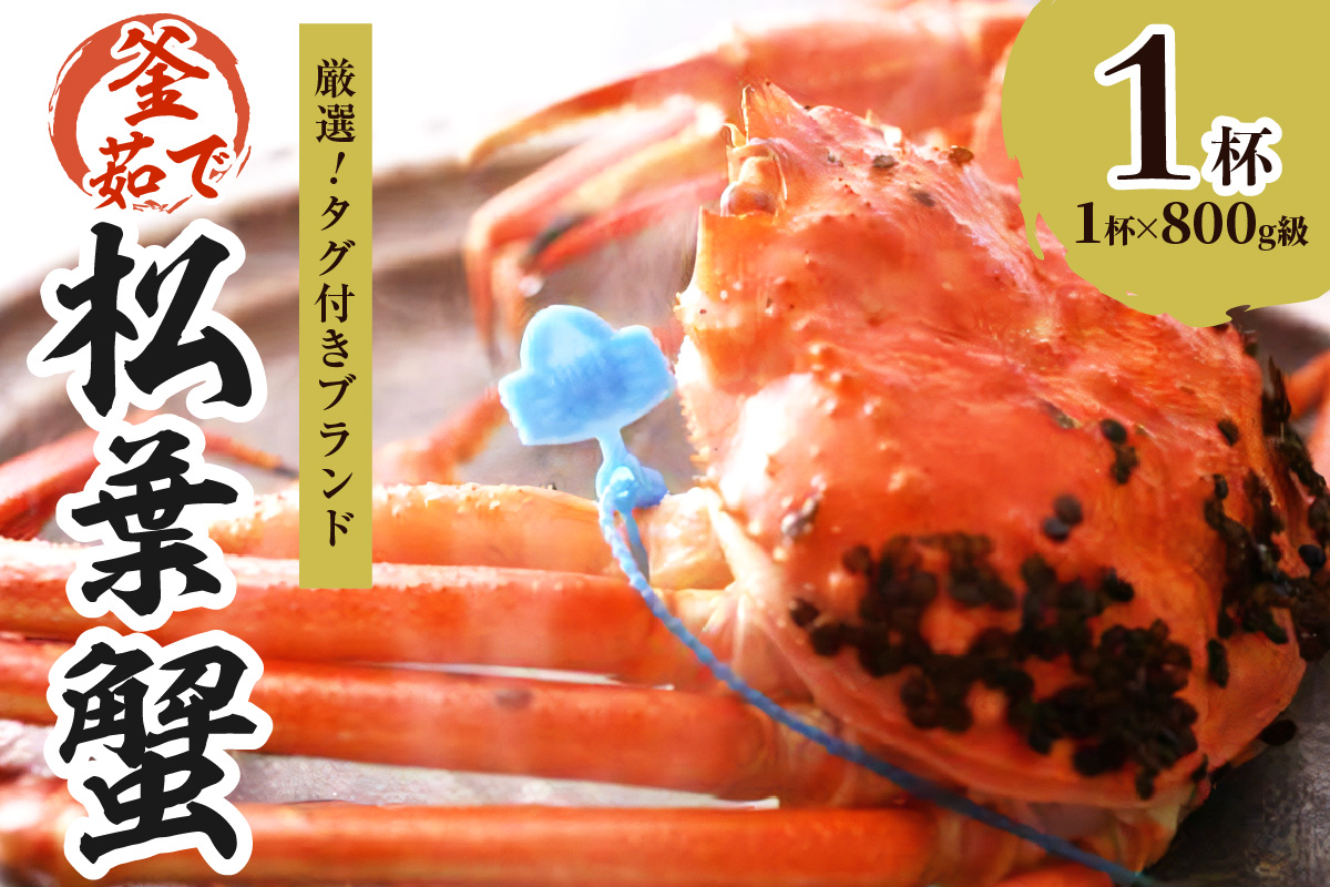 【厳選！！タグ付きブランド】茹で松葉かに 鮮度抜群、釜茹でにてお届け！！ 800g級×1杯 国産 海産物 甲殻類 かに ずわいがに 松葉かに 茹で ボイル 京都 京丹後 海鮮 ふるさと納税 かに まつばがに 松葉ガニ 海祥 送料無料