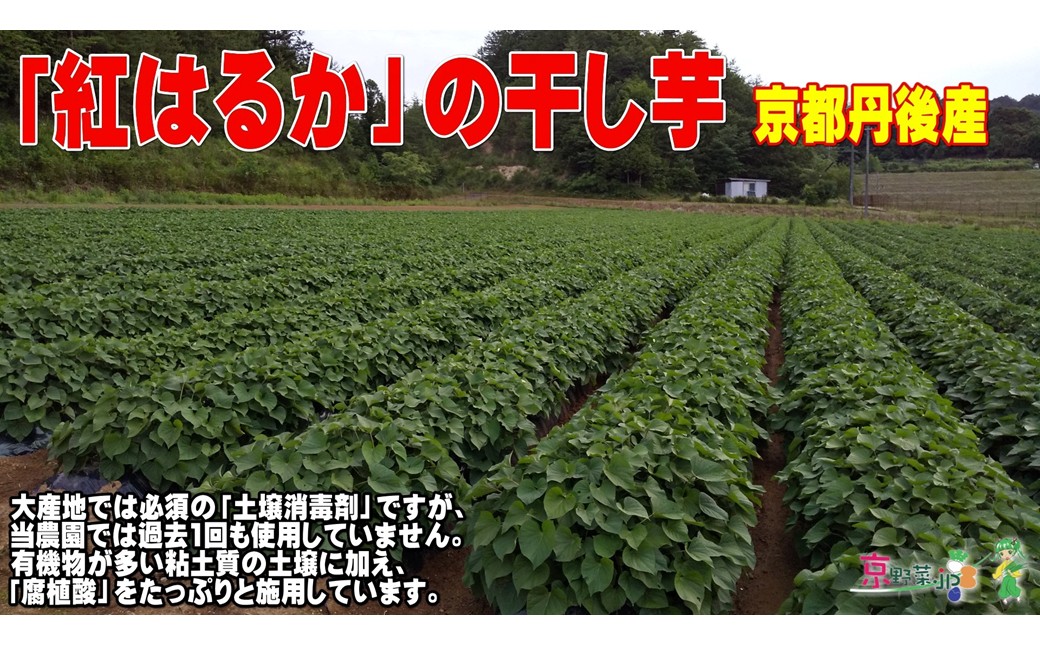 紅はるかの干し芋（京都産） 150g×2パック入　国産 紅はるか 和菓子 さつまいも ほしいも ふるさと納税 干し芋