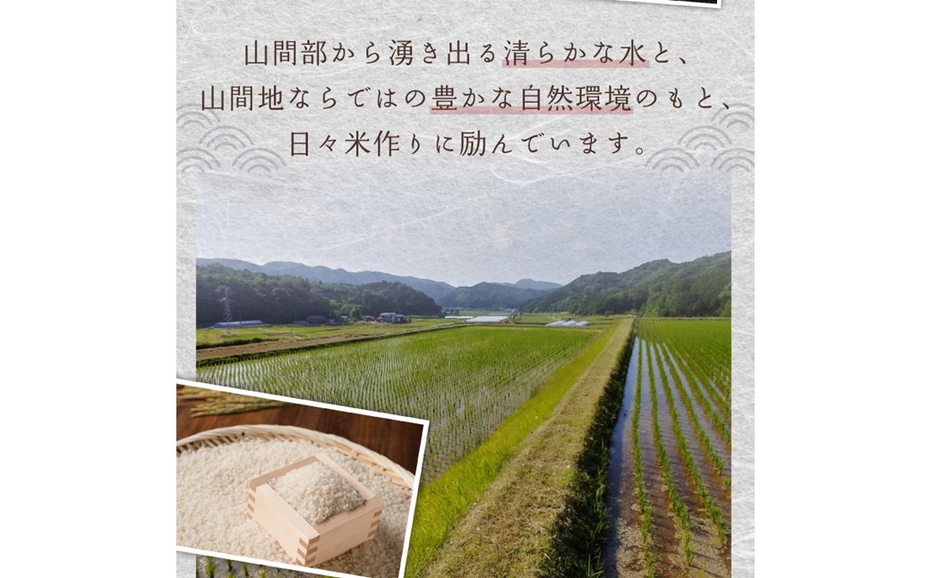 2026年産 京都・久美浜三谷産 丹後コシヒカリ「三谷幸米」 精米 10kg ふるさと納税 コシヒカリ 精米