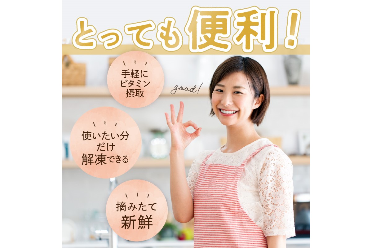 美味しさそのまま摘みたてをハイブリッド冷凍　京丹後産冷凍ブルーベリー1kg/北畿水産