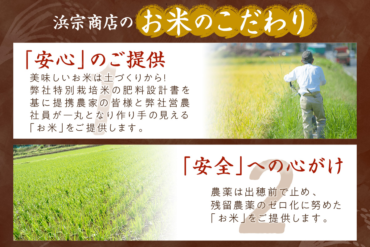 京都・丹後コシヒカリ 無洗米 5kg　米 お米 コシヒカリ ふるさと納税 無洗米 ふるさと納税 米 ふるさと納税 お米 ふるさと納税 コシヒカリ 農家応援 生産者応援 送料無料