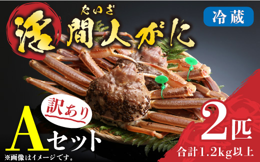 （訳あり）活間人がに 2匹 Aセット　11/10～11/21発送予定 平七水産　間人がに 間人ガニ 間人蟹 たいざがに たいざガニ