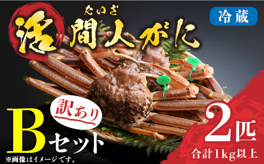 （訳あり）活間人がに　2匹　Bセット　11/10～11/21発送予定 平七水産　間人がに 間人ガニ 間人蟹 たいざがに たいざガニ