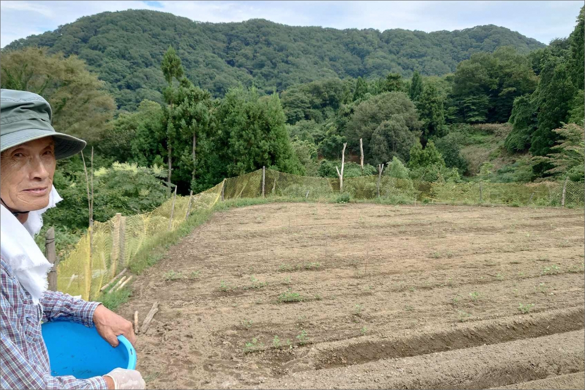味土野大納言ぜんざい（細川ガラシャ隠棲地の小豆〜味土野大納言使用〜）