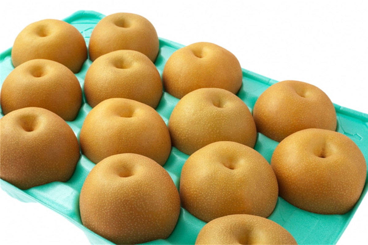 【先行予約】甘～ぃ！ジューシー！！晩生梨の代表 京丹後産 新興梨 5kg（9～13玉）（2026年9月下旬～発送）　国産 期間限定 デザート ふるさと 納税 梨 なし ナシ ふるさと 納税 先行予約 期間限定 ふるさと 納税 フルーツ くだもの 果物 赤梨