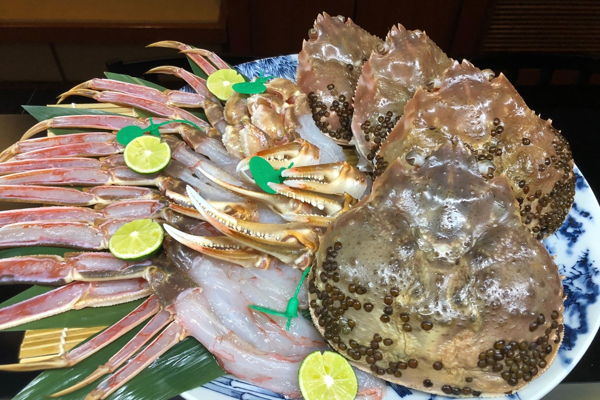 【幻のズワイ蟹】京丹後産 活間人蟹 鮮度抜群、活きたままお届け！！ 800g級×1杯