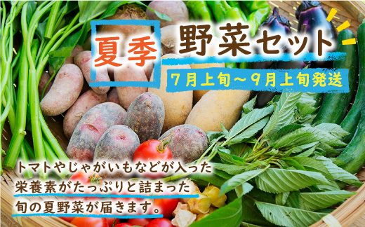 SORA農園有機野菜セット年2回（夏季・冬季）お届け 12種類前後 オーガニック野菜 詰め合わせ 栽培期間中農薬不使用 ふるさと納税 オーガニック ふるさと納税 有機野菜