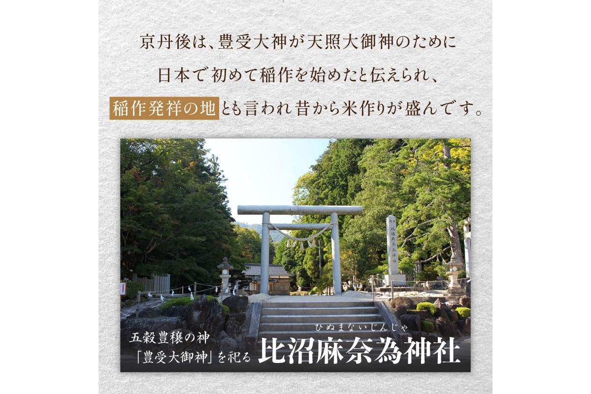 【3ヶ月定期便】2026年産 京都・京丹後峰山 特別栽培米コシヒカリ 5kg 【白米】 1等米 検査済証付　お米 精米 お弁当 おにぎり 京都府産 白米 特別栽培 一等米 ふるさと納税 米 定期便 生産者応援 農家応援
