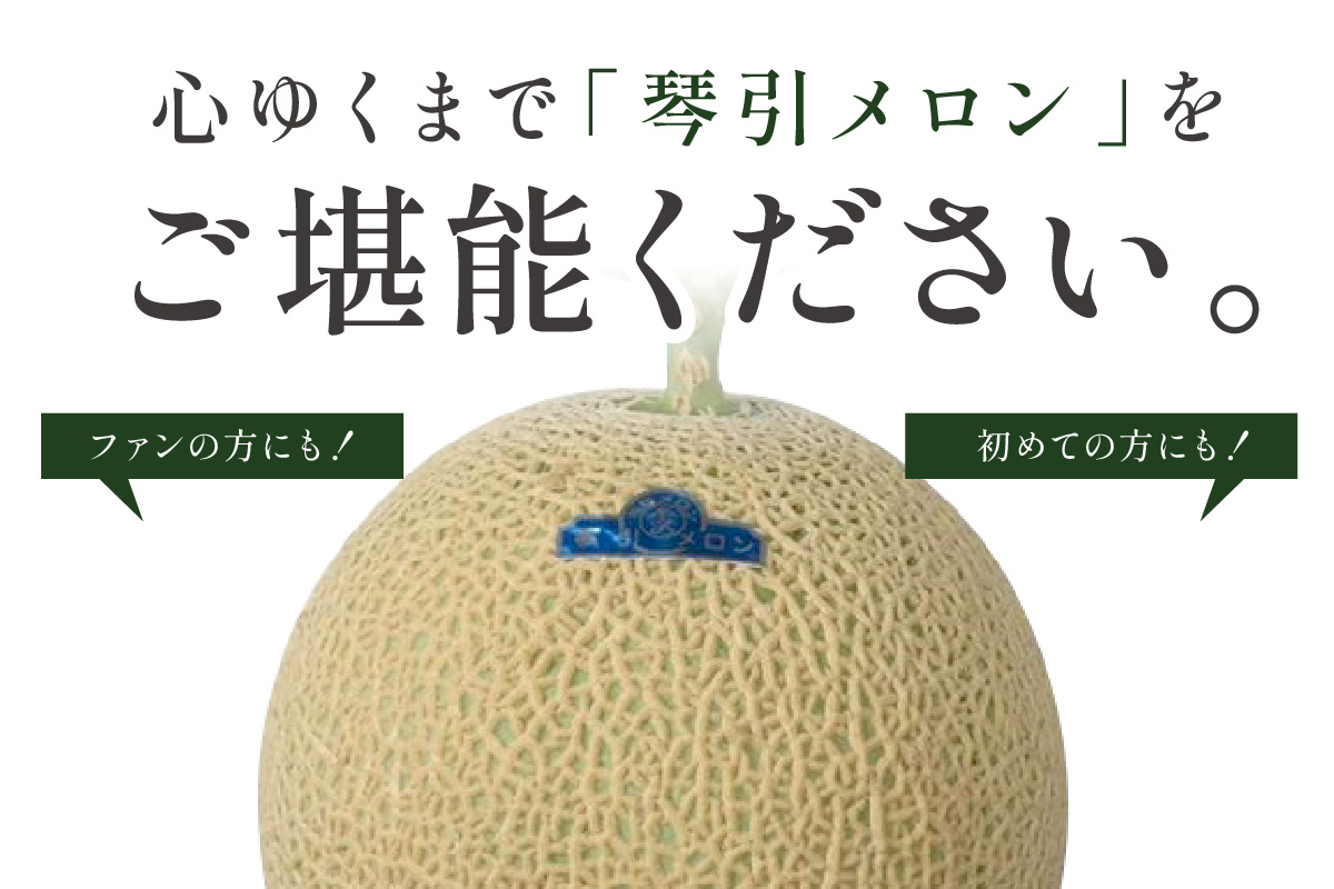 【数量限定950】京のブランド産品 京たんごメロン 琴引メロン LAサイズ 1玉（2026年6月下旬～発送）