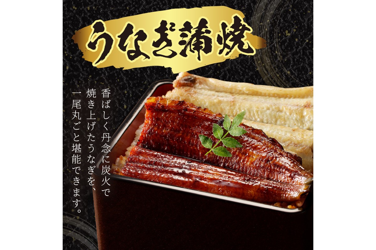 うなぎの食べ比べセット2~3人前【蒲焼き・白焼きそれぞれ1/2尾】全部で1尾