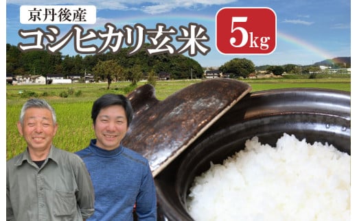 2026年産 丹後弥栄産コシヒカリ（玄米5kg） ふるさと納税 お米 米 玄米 コシヒカリ 農家直送 丹後こしひかり ふるさと納税 玄米