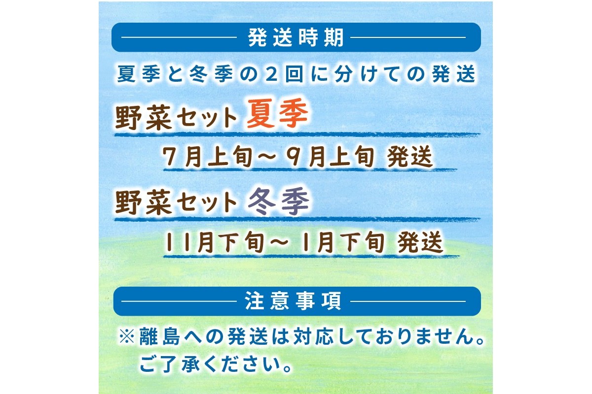 SORA農園有機野菜セット年2回（夏季・冬季）お届け 12種類前後 オーガニック野菜 詰め合わせ 栽培期間中農薬不使用 ふるさと納税 オーガニック ふるさと納税 有機野菜