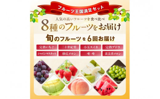 【先行予約／フルーツ定期便6回】旬の果物厳選！京丹後フルーツ王国満足セット（完熟イチゴ・小玉スイカ・桃・メロン・完熟ブドウ＆シャインマスカット食べ比べ・二十世紀梨）（2027年2月中旬～発送）