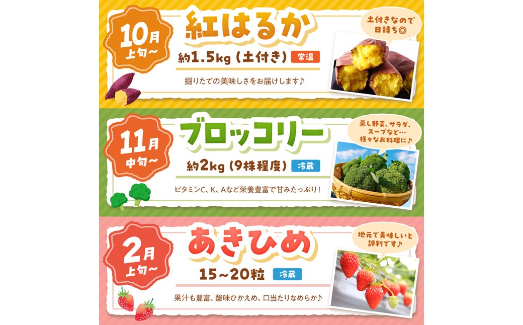 まつみやファーム獲れたて野菜・フルーツ5種定期便 ふるさと納税 果物 くだもの フルーツ ふるーつ 野菜 やさい 芋 穀物 紅はるか さつまいも いちご イチゴ 苺 ホワイトコーン 農家応援 生産者応援 送料無料