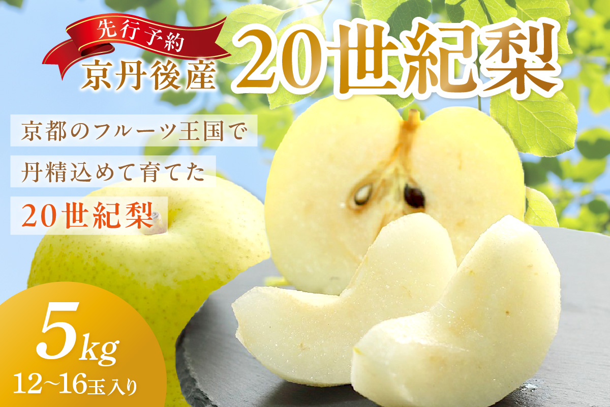 【先行予約／数量限定150】京丹後産 20世紀梨 5kg（12～16玉入り）（2026年9月上旬～発送）