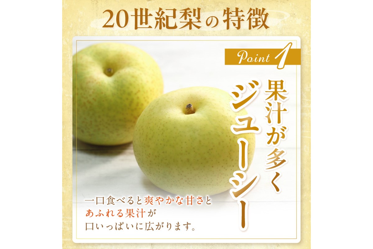 【先行予約／数量限定150】京丹後産 20世紀梨 5kg（12～16玉入り）（2026年9月上旬～発送）