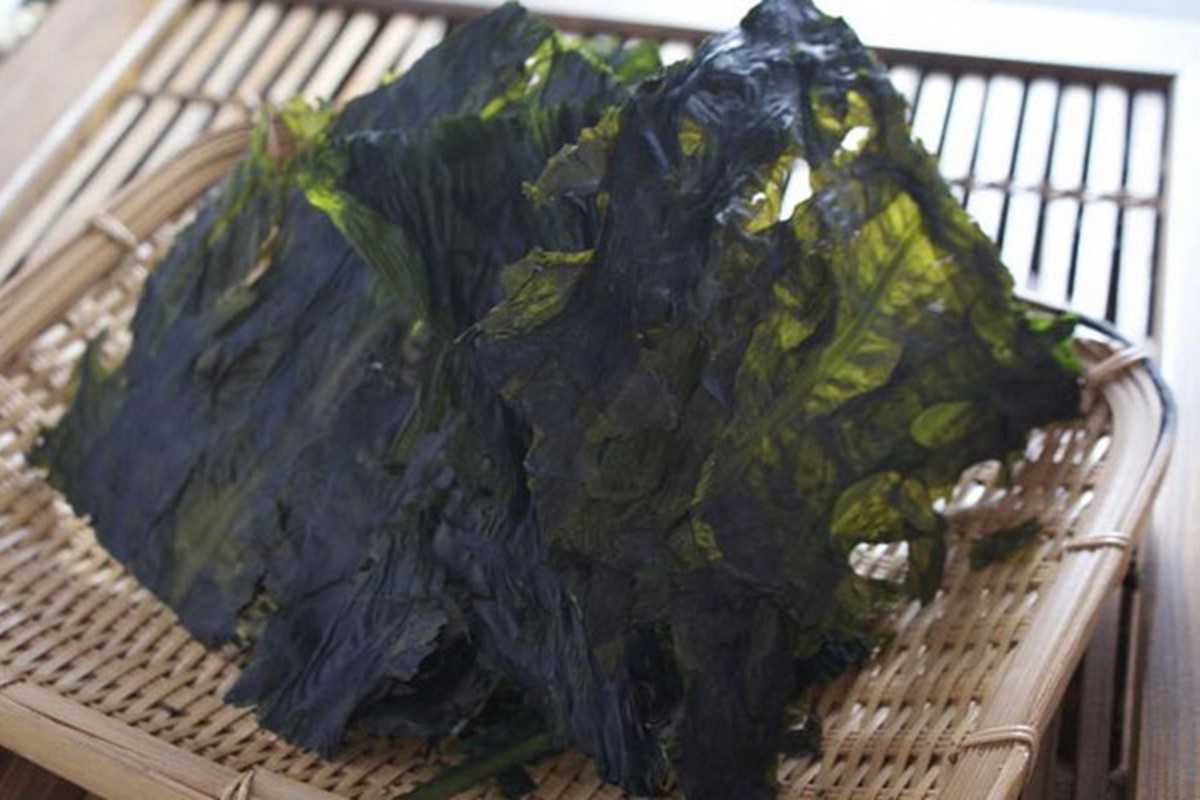 お土産人気商品！京丹後産 天然間人わかめ 20g×3袋（2027年6月上旬～発送） 乾燥わかめ 間人わかめ 乾わかめ 天然わかめ 海藻 間人 国産 ふるさと納税 ワカメ 乾燥 板わかめ 若布 ワカメ 板わかめ 健康長寿 生産者応援 送料無料