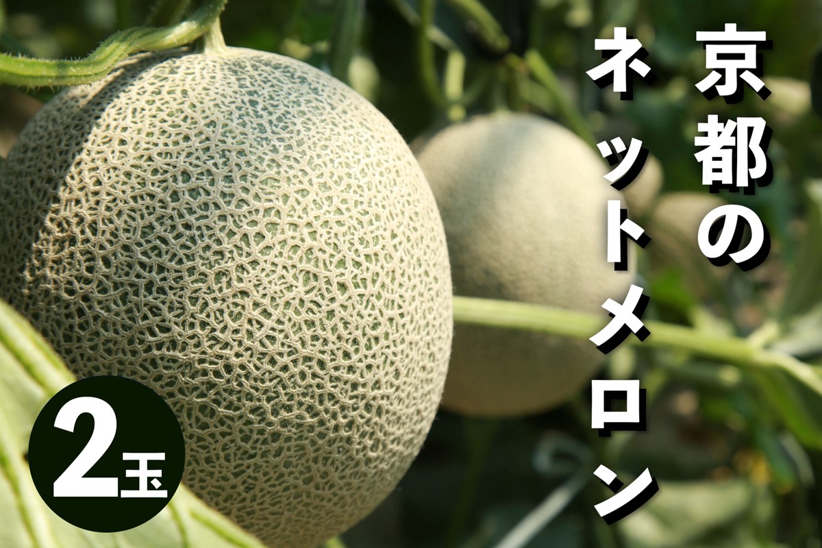 【先行予約／数量限定50】アールスメロン（ネットメロン） 2玉（2026年7月上旬～発送）