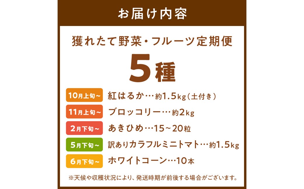 まつみやファーム獲れたて野菜・フルーツ5種定期便 ふるさと納税 果物 くだもの フルーツ ふるーつ 野菜 やさい 芋 穀物 紅はるか さつまいも いちご イチゴ 苺 ホワイトコーン 農家応援 生産者応援 送料無料