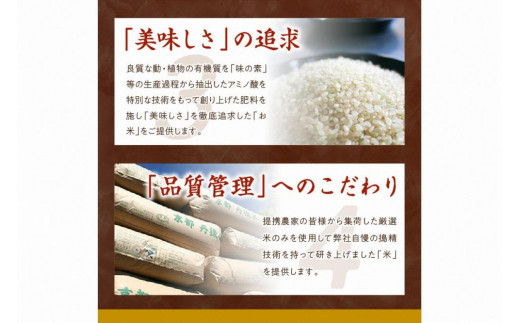 京都・丹後コシヒカリ 無洗米 3kg 米 お米 コシヒカリ ふるさと納税 無洗米 ふるさと納税 米 ふるさと納税 お米 ふるさと納税 コシヒカリ 農家応援 生産者応援 送料無料