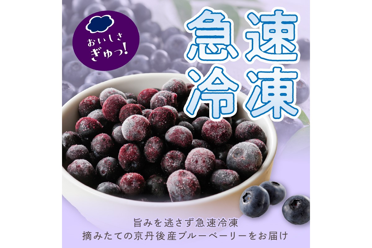 美味しさそのまま摘みたてをハイブリッド冷凍　京丹後産冷凍ブルーベリー1kg/北畿水産