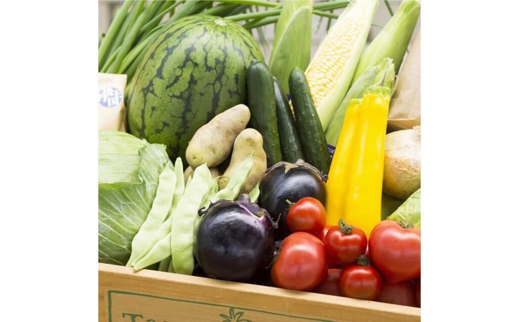 旬の野菜 5～8種詰め合わせと京都・京丹後産コシヒカリ2kgセット 国産 新鮮 お試し おまかせ お楽しみ　京野菜　朝採れ 季節の野菜 食品 お取り寄せ　お米 ごはん ご飯 こしひかり おにぎり 白米 ふるさと納税 米