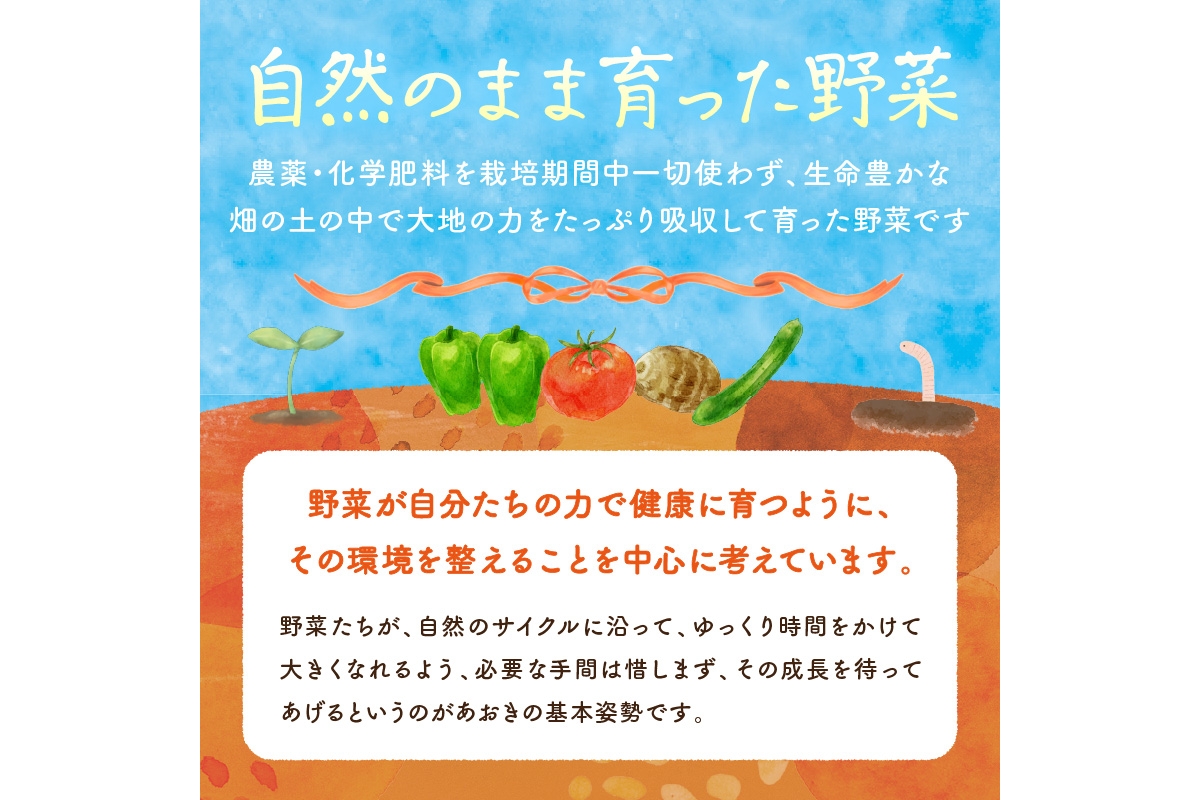 【数量限定】自然栽培野菜セット（団らん）