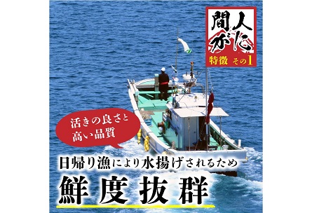 （訳あり）茹で間人がに 2匹 Bセット　11/10～11/21発送予定　間人がに 間人ガニ 間人蟹 たいざがに たいざガニ