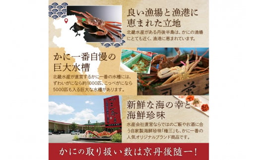かに卸問屋がお届け・自社釜ゆで！幻のゆで間人ガニ 700ｇ～800ｇ 中大サイズ （1月～3月発送）／北畿水産