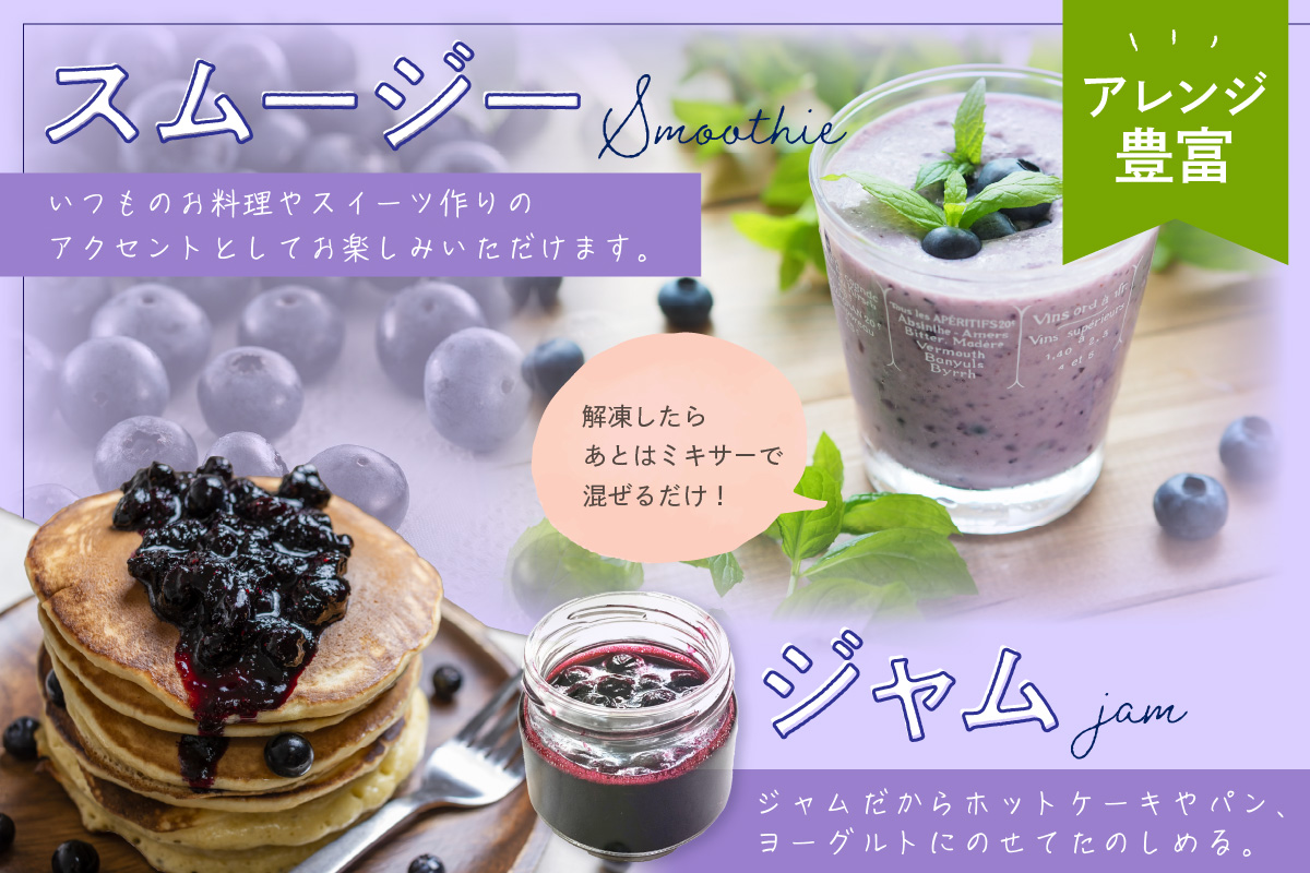 美味しさそのまま摘みたてをハイブリッド冷凍　京丹後産冷凍ブルーベリー1kg/北畿水産