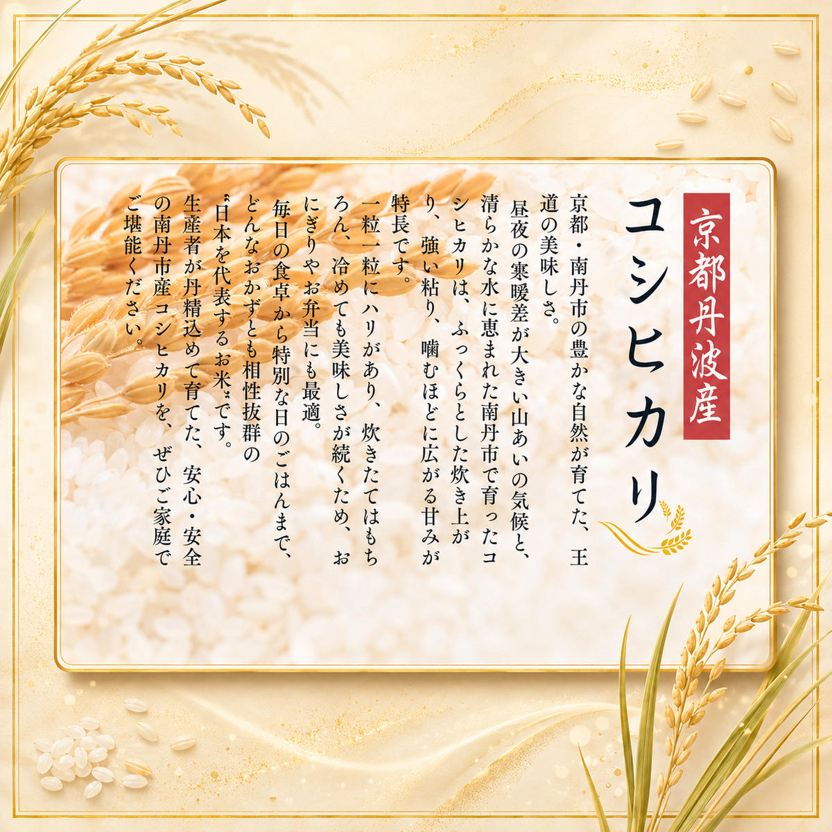 令和8年産 京都丹波産 コシヒカリ 10kg 京都 丹波 お米 米 産地直送 令和8年 10キロ 新米 新米26