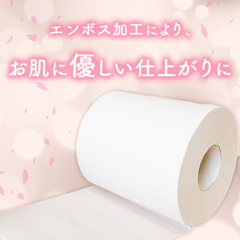 【定期便3回】「出番です」トイレットペーパー 12ロール 個包装 ストック 備蓄 防災対策 肌に優しい エンボス加工