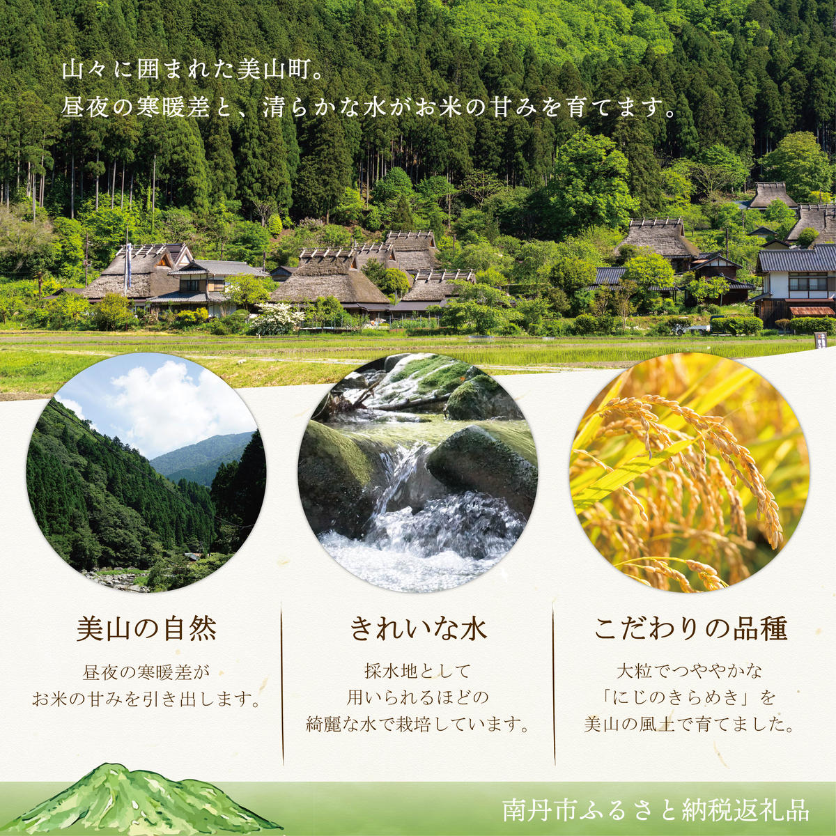 令和8年産 新米 にじのきらめき 5kg 美山町産 こと美山米 令和8年 5キロ 新米26