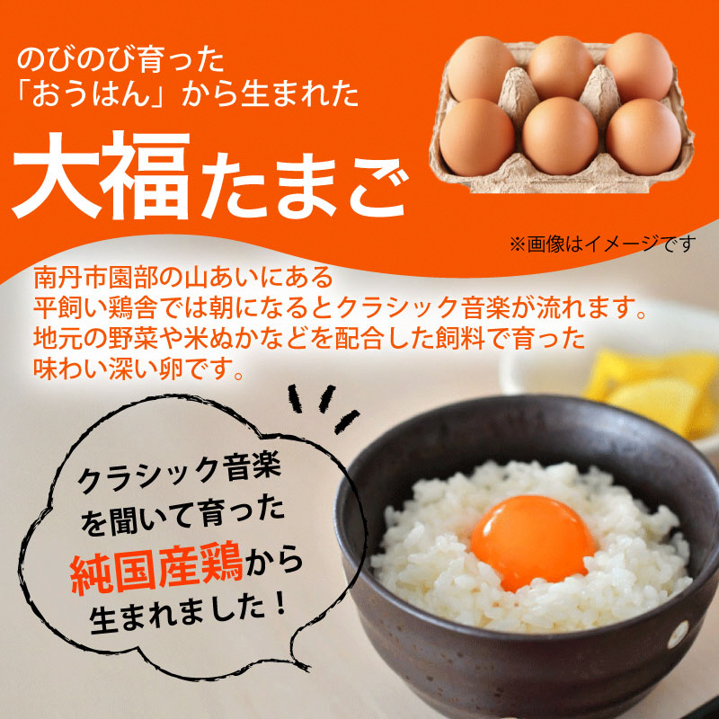 【産地直送】旬のお野菜詰め合わせ 京野菜セット8種類 平飼い卵 6個付き