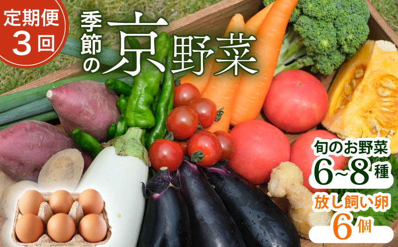 【毎月定期便】【産地直送】旬のお野菜詰め合わせ 京野菜セット8種類 平飼い卵 6個付き全3回